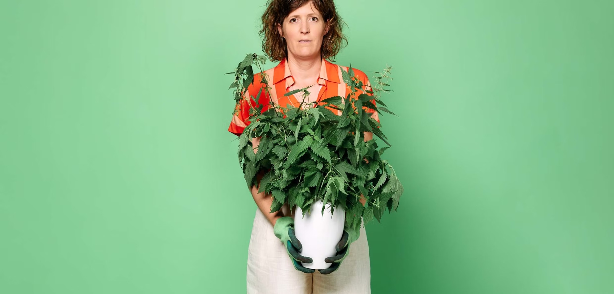 Janneke